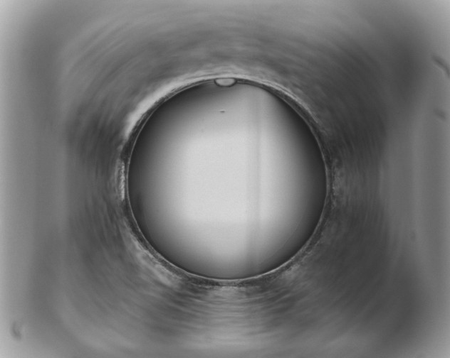 X0000102831510200808251122