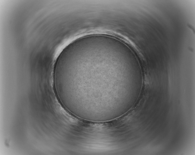 X0000102831512200808251122