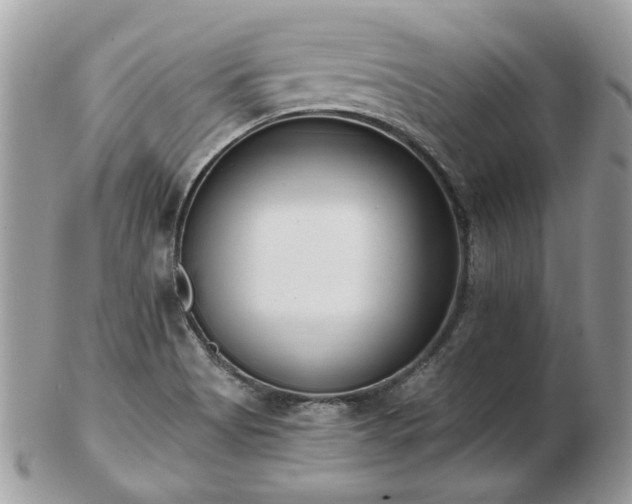 X0000102831513200808251122