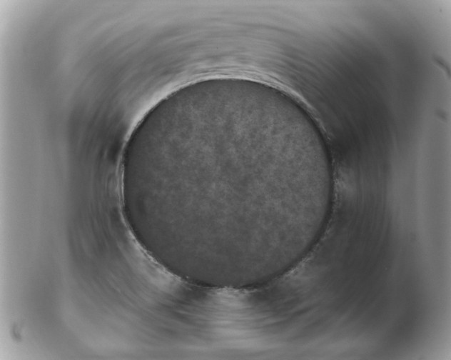 X0000102831514200808251122