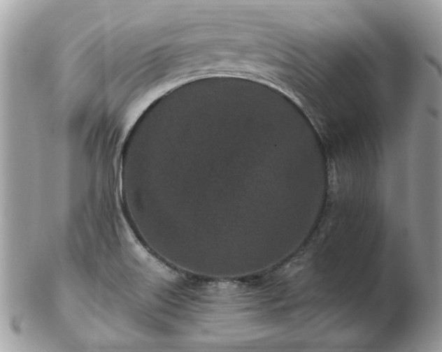 X0000102831515200808251122