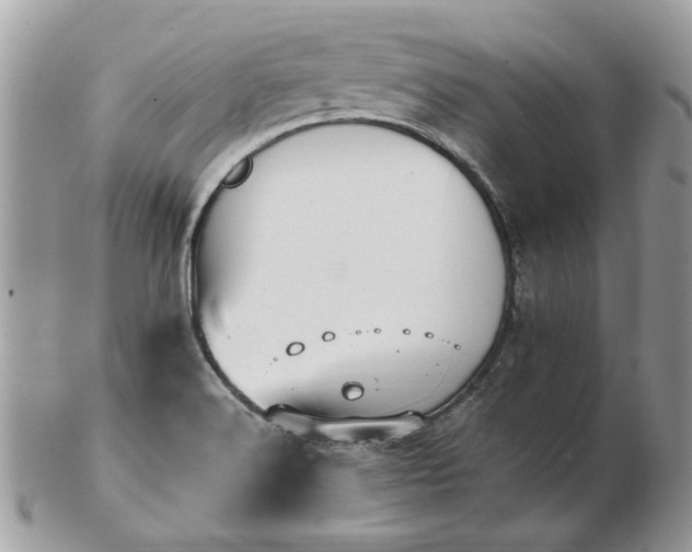 X0000102831516200808251122