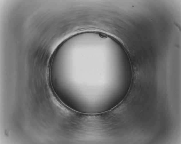 X0000102831518200808251122