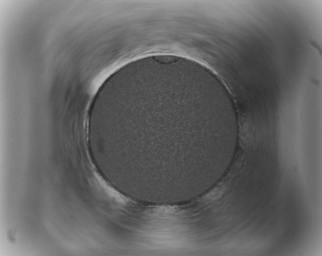 X0000102831519200808251122