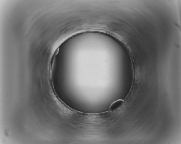 X0000102831520200808251122