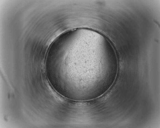 X0000102831521200808251122