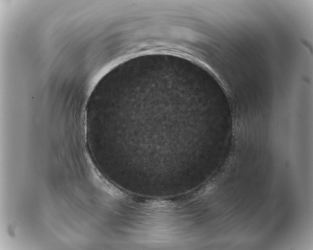 X0000102831522200808251122