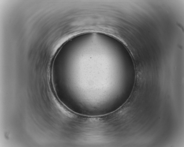 X0000102831523200808251122