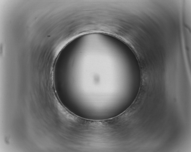 X0000102831524200808251122