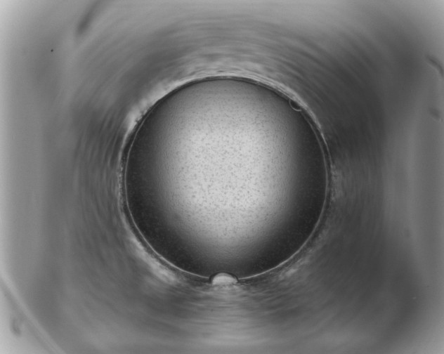 X0000102831525200808251122