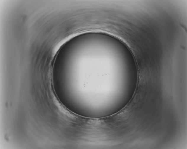 X0000102831526200808251122