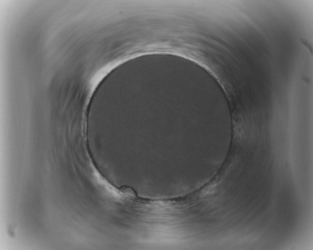 X0000102831527200808251122