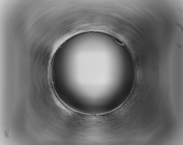 X0000102831528200808251122