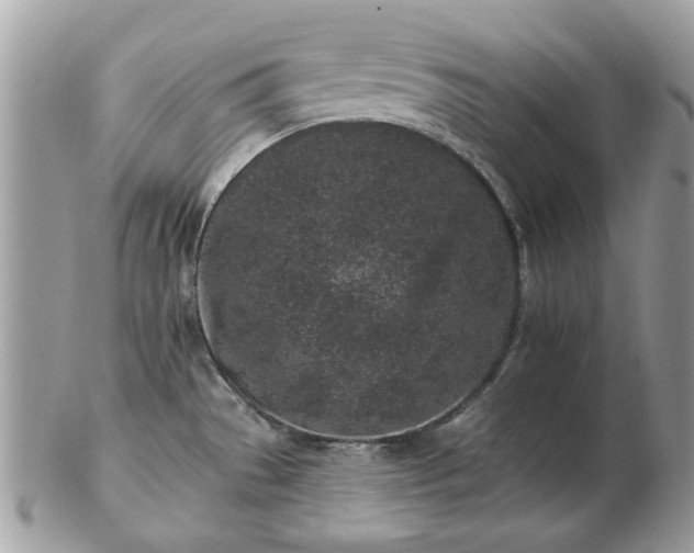 X0000102831529200808251122