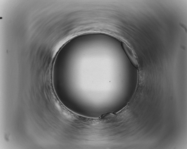 X0000102831530200808251122