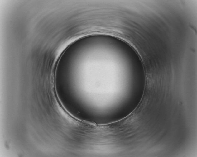 X0000102831531200808251122