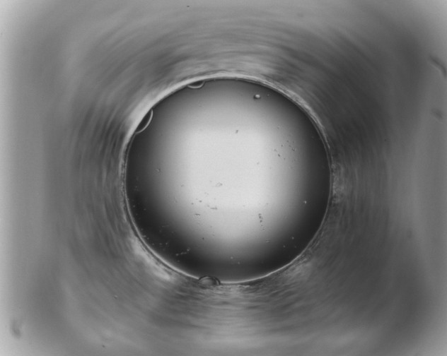 X0000102831532200808251122