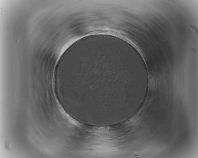 X0000102831533200808251122