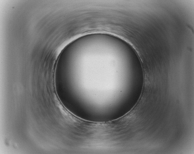 X0000102831534200808251122