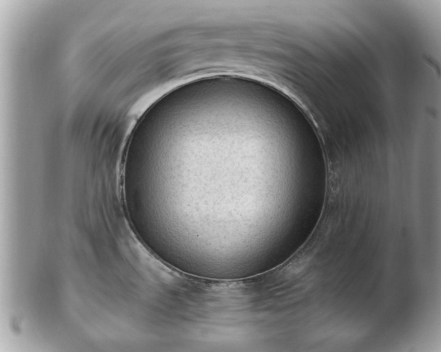 X0000102831535200808251122