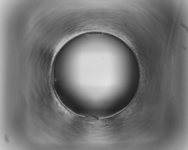 X0000102831536200808251122