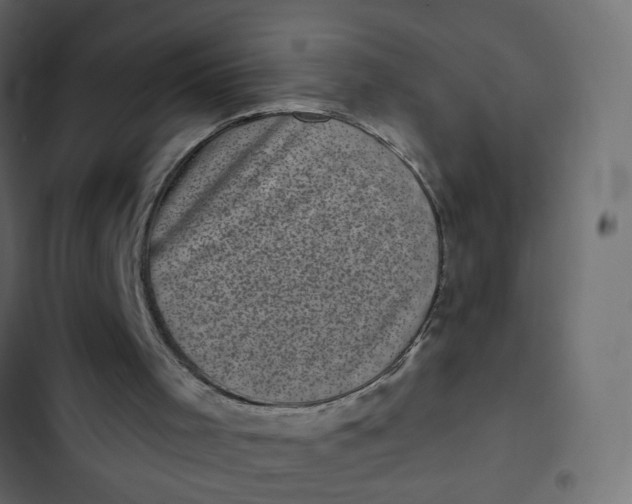 X0000102830001200809021324