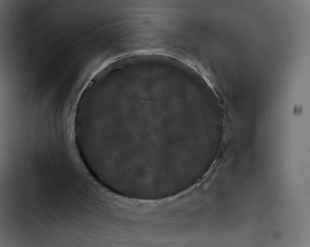 X0000102830002200809021324