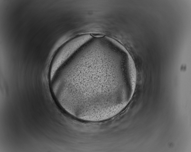 X0000102830004200809021324