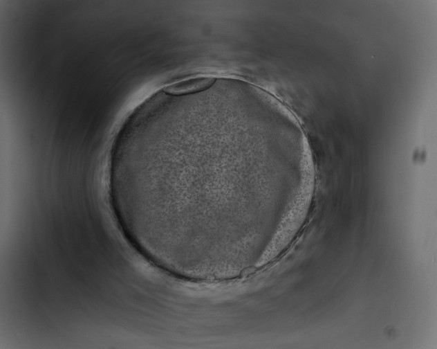 X0000102830005200809021324