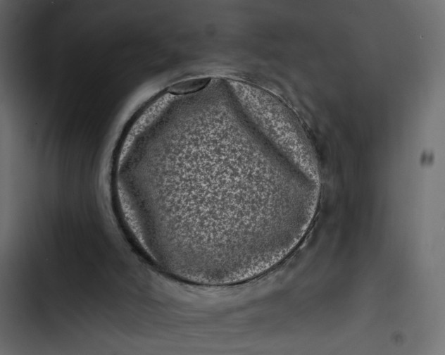 X0000102830006200809021324