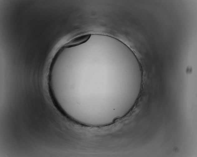 X0000102830007200809021324