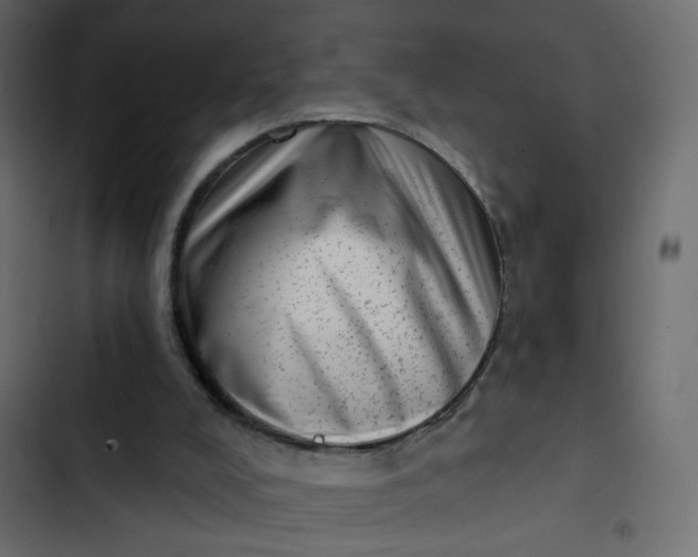 X0000102830008200809021324