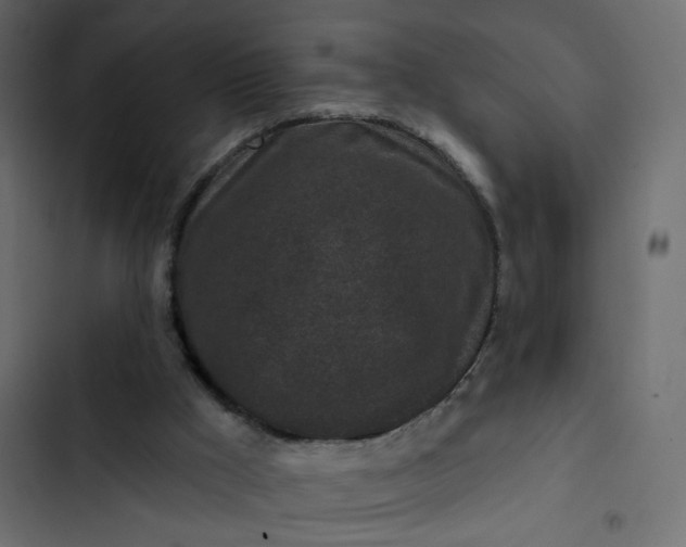 X0000102830009200809021324