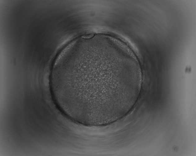 X0000102830010200809021324