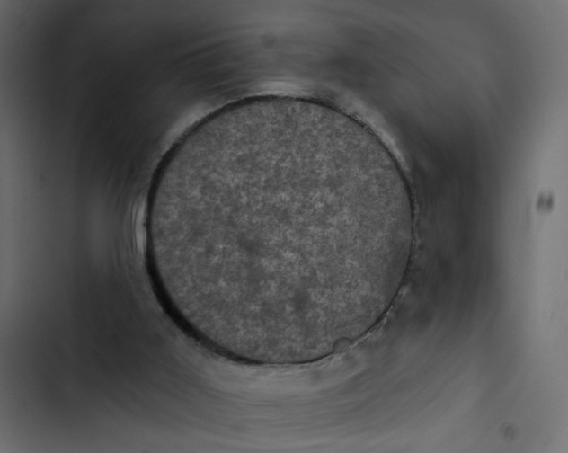 X0000102830011200809021324