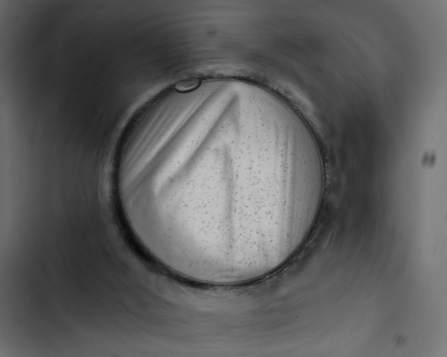 X0000102830012200809021324