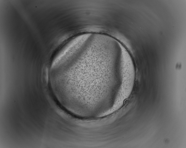 X0000102830013200809021324