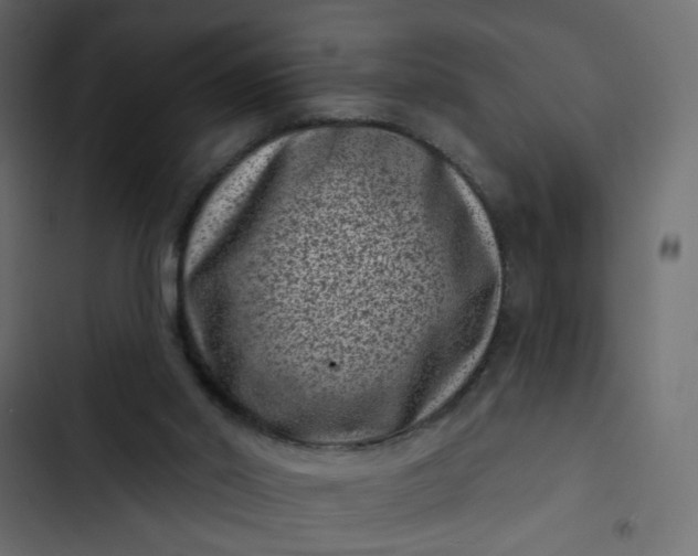 X0000102830014200809021324