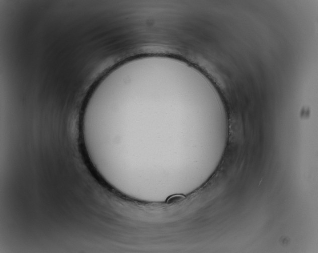 X0000102830015200809021324