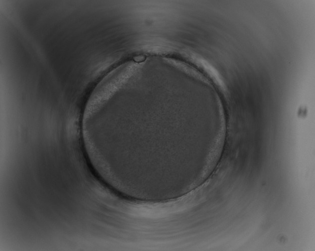 X0000102830017200809021324