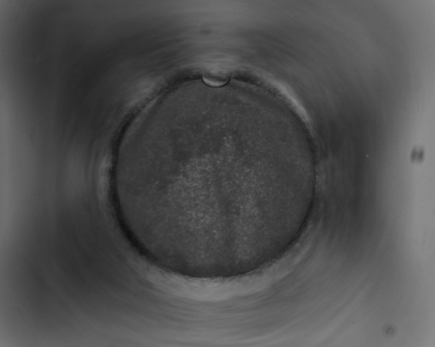 X0000102830018200809021324