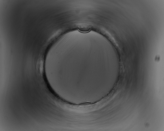 X0000102830019200809021324