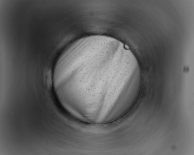 X0000102830020200809021324