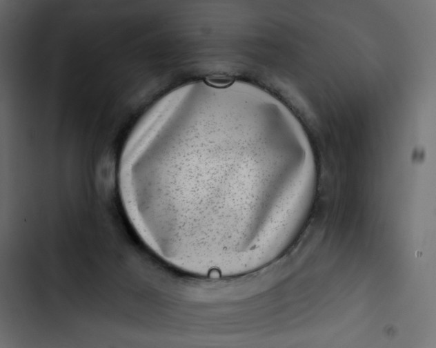 X0000102830021200809021324