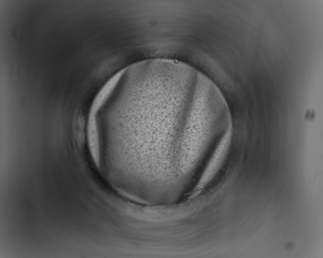 X0000102830022200809021324