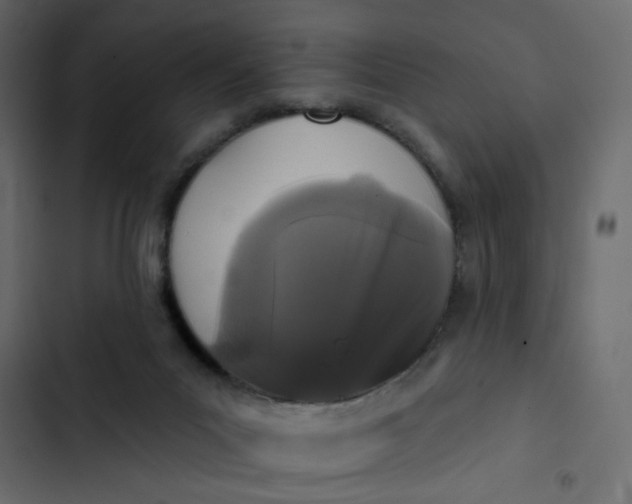 X0000102830023200809021324