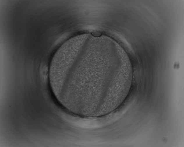 X0000102830024200809021324