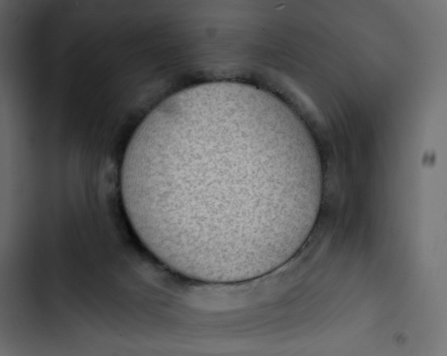 X0000102830025200809021324