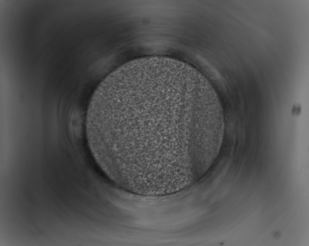 X0000102830026200809021324