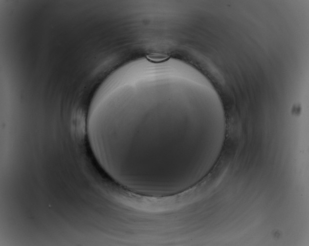 X0000102830027200809021324